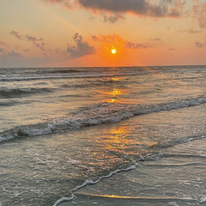 Meet your Posher, Addison